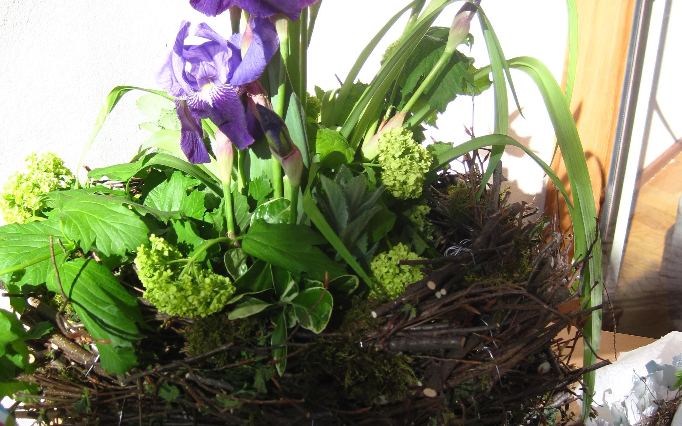 IMG_0240 - Kopie.JPG